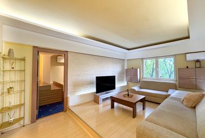 Apartament mare si spatios - Unirii - Anastasie Panu - Centrala proprie! - 9