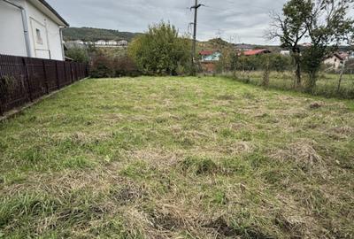 Teren intravilan 890mp in Chinteni – zona centrala, strada principala - 3