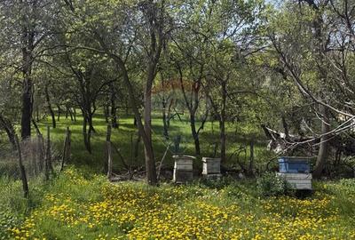 Casă  de vânzare în zona Câmpulung înconjurată de natura - 16