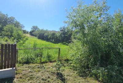 Teren la asfalt la Manastirea Doamnei - 3