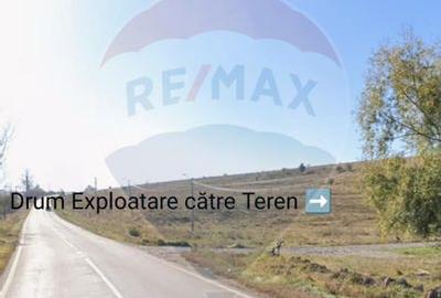 Teren de vanzare 20,000 mp. in com. Raucesti,  Targu Neamt - 3