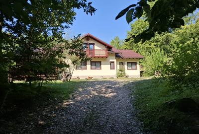 Pensiune agroturistică lângă București | Business funcțional | Iedera de Sus, DB - 3