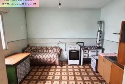 Casa de vanzare - str.Zidari-(Tarcau) - 7