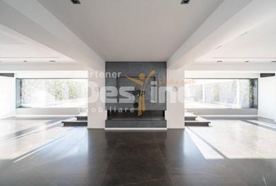 Penthouse-view Lacul Tei | 473mp | terasa 165mp | 950.000 euro + TVA - 3