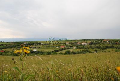 Teren 1,500 mp, vedere panoramica, Sibiu-Daia Noua - 2