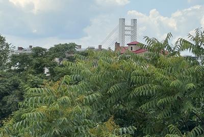 Apartament decomandat de 2 camere, bloc 2017, Dr. Iacob Felix - Victoriei! - 17