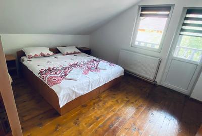 Casa de vacanta cu 5 camere si iesire la rau in Raul Sadului - 17