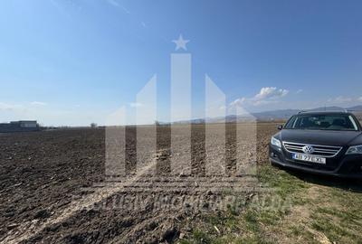 Teren intravilan de 1600 mp, în Sud