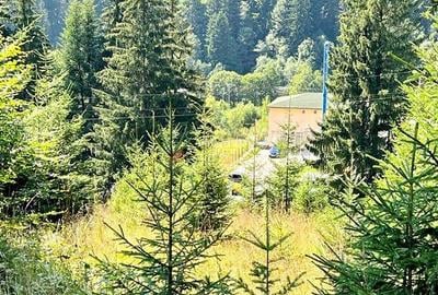 Teren Intravilan Predeal - Acces direct DN - Priveliste deosebita - 30