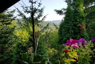 CASA DE VACANTA |  PRAHOVA| PROVITA DE JOS | BREAZA | - 7
