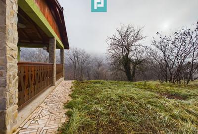 Casă de vacanță în Moneasa - 19