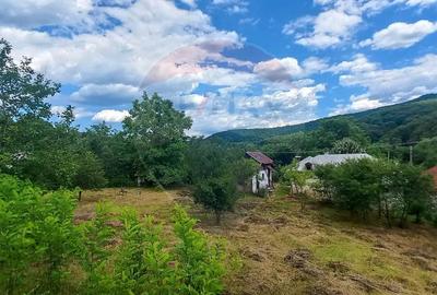 Teren Intravilan de vanzare 3551mp Poiana Copaceni Com Gura Vitioarei - 2