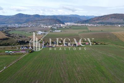 Teren intravilan 10.000 mp Gârcina lângă Sala Polivalenta Piatra Neamț - 6