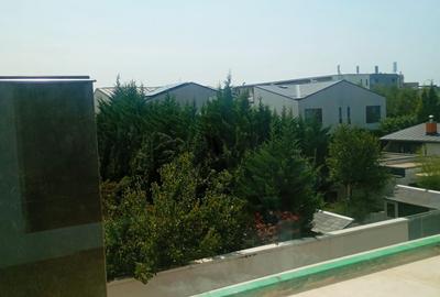 Vila Tunari str. Paris, 5 camere, curte 300  mp, 400 mp construiti - 14