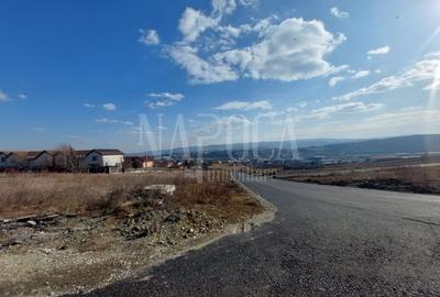 Teren intravilan pentru constructii de vanzare in Dambul Rotund - 2