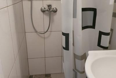 Sala Palatului 2 Camere Ultracentral - 10