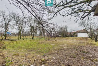 Casă modernă P+1, cu magazin, lângă orașul Sebiș - 32