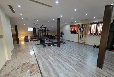 Timpuri Noi, 10 minute metrou, pe Cuza Voda, vila exclusivista P+1+M, lux, - 41