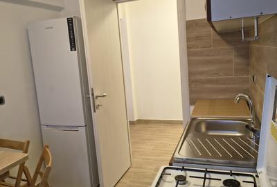 Apartament cu 3 camere de inchiriat zona Micro 3 Iazul Morilor etaj 1 renovaT - 9