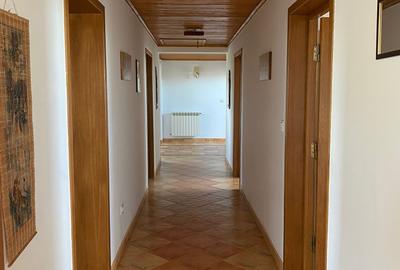 Domeniu Privat - Rosu/ Chiajna - Ilfov - 14