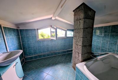 Spatiul Comercial Stradal+Teren  /Oportunitate de investitie/Valenii de munte - 6