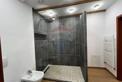 Penthouse cu 5 camere si terasa cu view de inchiriat in Grigorescu - 17