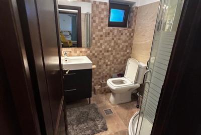 Casa de inchiriat Baneasa -Ficusului - 24