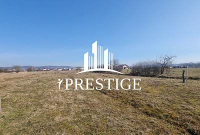 TEREN DE VÂNZARE 1000 MP ȘELIMBĂR ZONA TROIȚĂ | INVESTIȚIE - 4