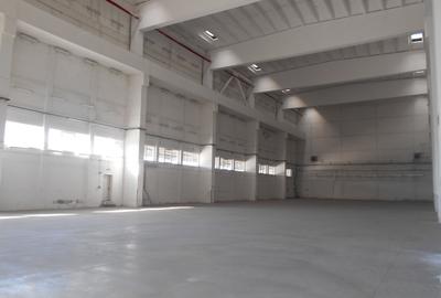 Hală industrială Clasa B disponibilă pentru închiriere Lugoj - 5