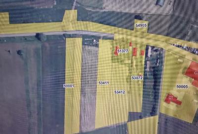 Vand in Berghia teren  de 2100 mp. - 2