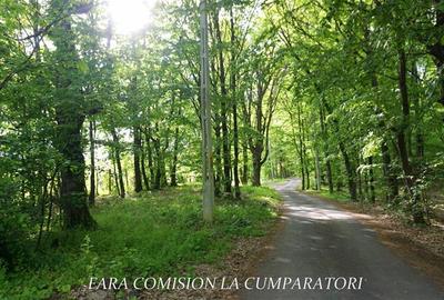 ZONA SUPERBA - TERENURI DE VANZARE - 30