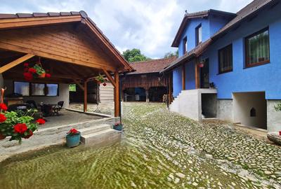 Casa rustica \ deosebita \ Marginimea Sibiului \ Fantanele - 2