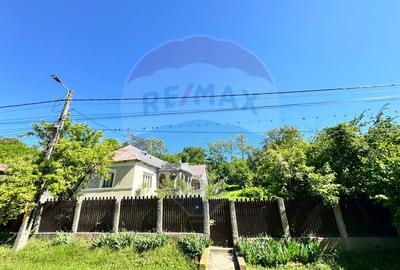Casă taraneasca de vanzare- PARAVA-BACAU - 10