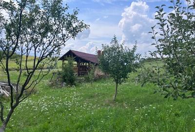 Casǎ spațioasă de vânzare  demisol, parter , etaj - 6