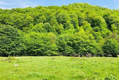 TEREN POTENTIAL TURISTIC - Rasnov - Cheisoara - 4