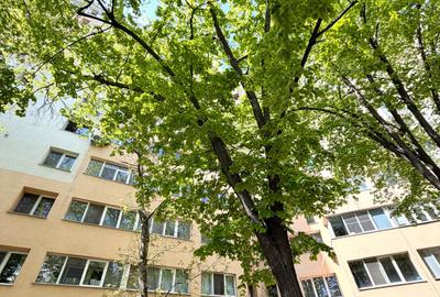 Titan / Parcul IOR / Apartament langa Liceul D.Aligheri / Parcare - 19