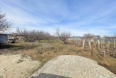 Mitreni-Valea Rosie-Acasa la Tara -4 camere-178 mp-LOT  1000 mp+Casa secundara - 42