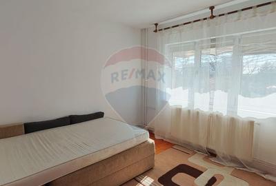 2 camere Brazda, stațios, etaj 2, AC + centrală - 13