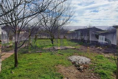 VANZARE CASA 5 CAMERE | TEREN 660 MP | ROSIORI DE VEDE - 3