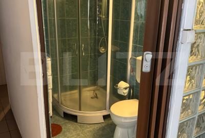 Casă spațioasă 7 camere, 247 mp, curte generoasa, amenajată-zona Dealul Florilor - 16