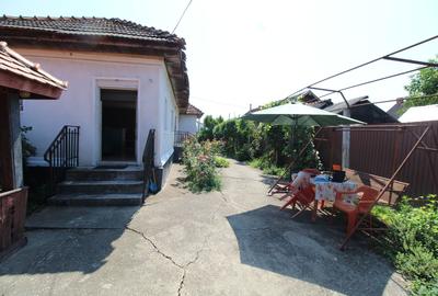 Case de vânzare,  deschidere drum național,  Drăguțești - 14