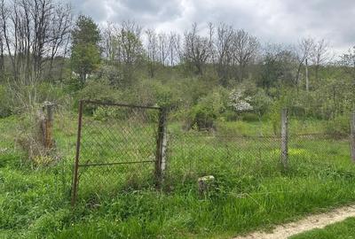 Imobil comercial/turistic S+P+2 - oportunitate investitie Muereasca ( Valcea) - 9