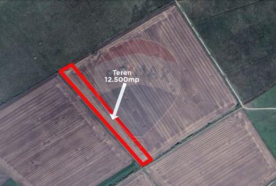 Teren 12.500 mp/Extravilan/ Dumbrava-Prahova - 3