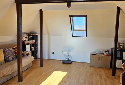 Vila S+P+1+M, 289 mp, zona Mihai Eminescu – Dacia, 6 camere, mobilata partial - 7