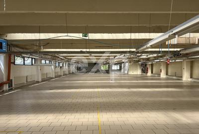 Spațiu industrial / multifuncțional | Bd. Muncii, Cluj-Napoca | 0 Comision - 2