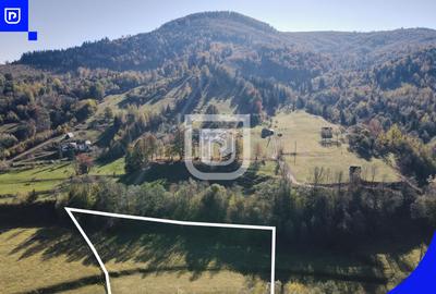 Teren situat in Vama  | BUCOVINA | 6€ mp - 5