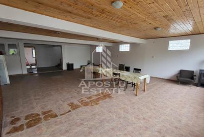 Casa ideala pentru birouri/alte activitati Mehala - 27