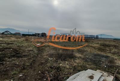 Teren intravilan in suprafata de 644 mp in Sanpetru pret 37000 euro - 2