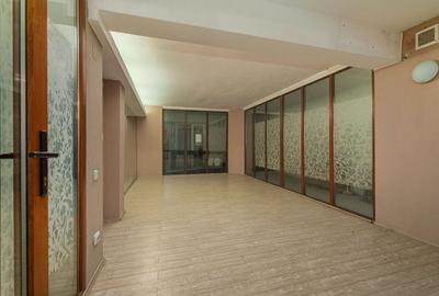 Spatiu comercial  424 mp  Oportunitati multiple - Baneasa Jandarmeriei - 3