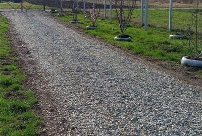 Teren extravilan cu apa si curent 700 mp in Sura Mare - 1